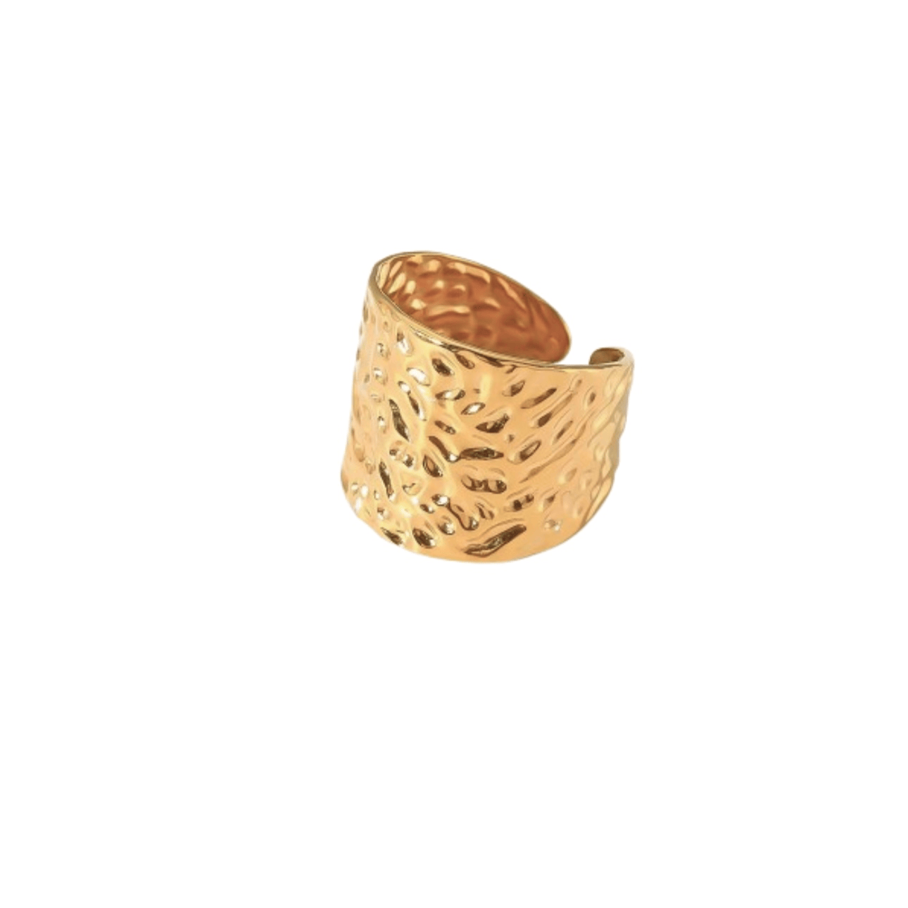 Aurane | Bague en acier inoxydable