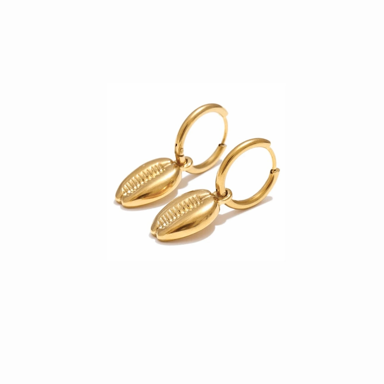 Boucles d’oreilles coquillage acier inoxydable