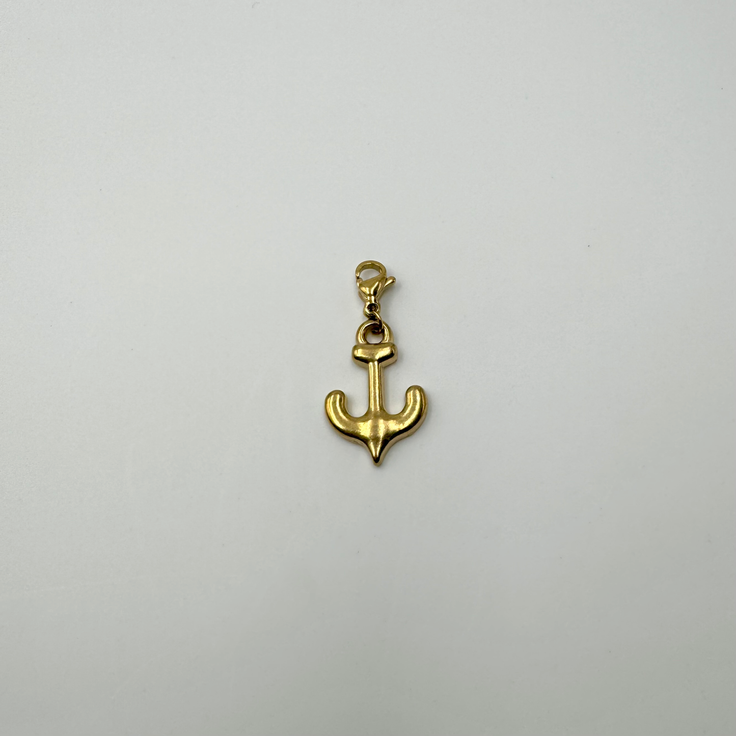 Charms en acier inoxydable et fermoir