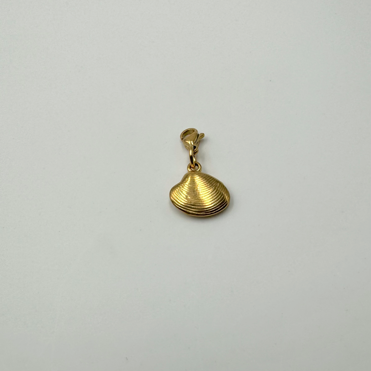 Charms en acier inoxydable et fermoir