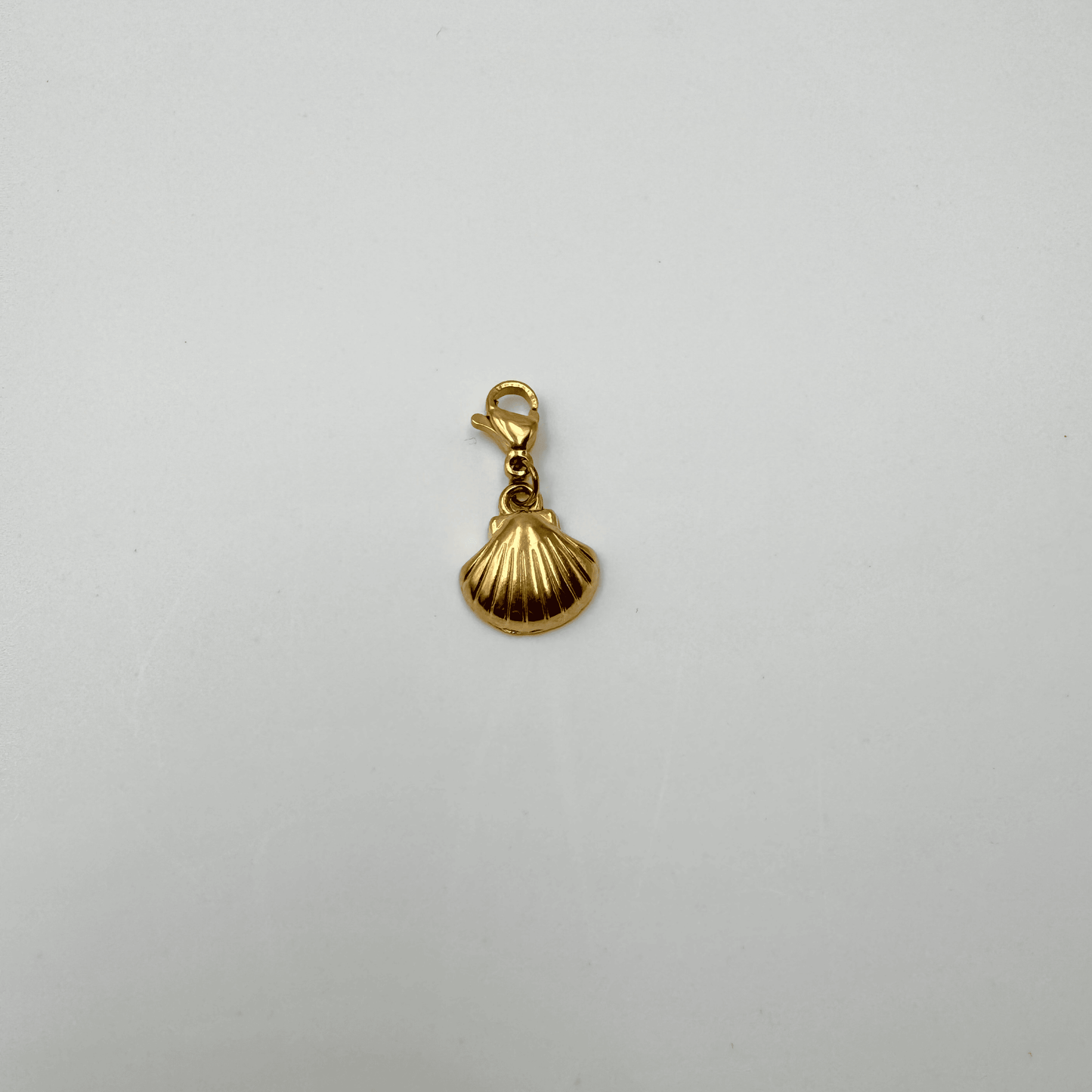 Charms coquillage en acier inoxydable et fermoir