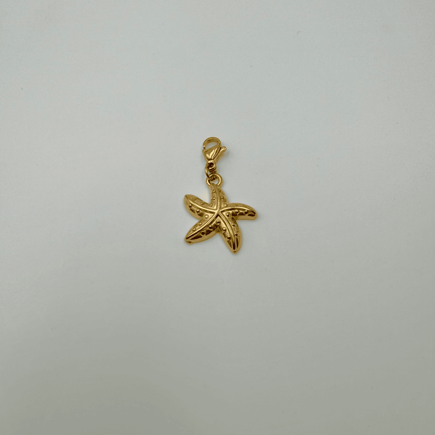 Charms étoile de mer en acier inoxydable et fermoir