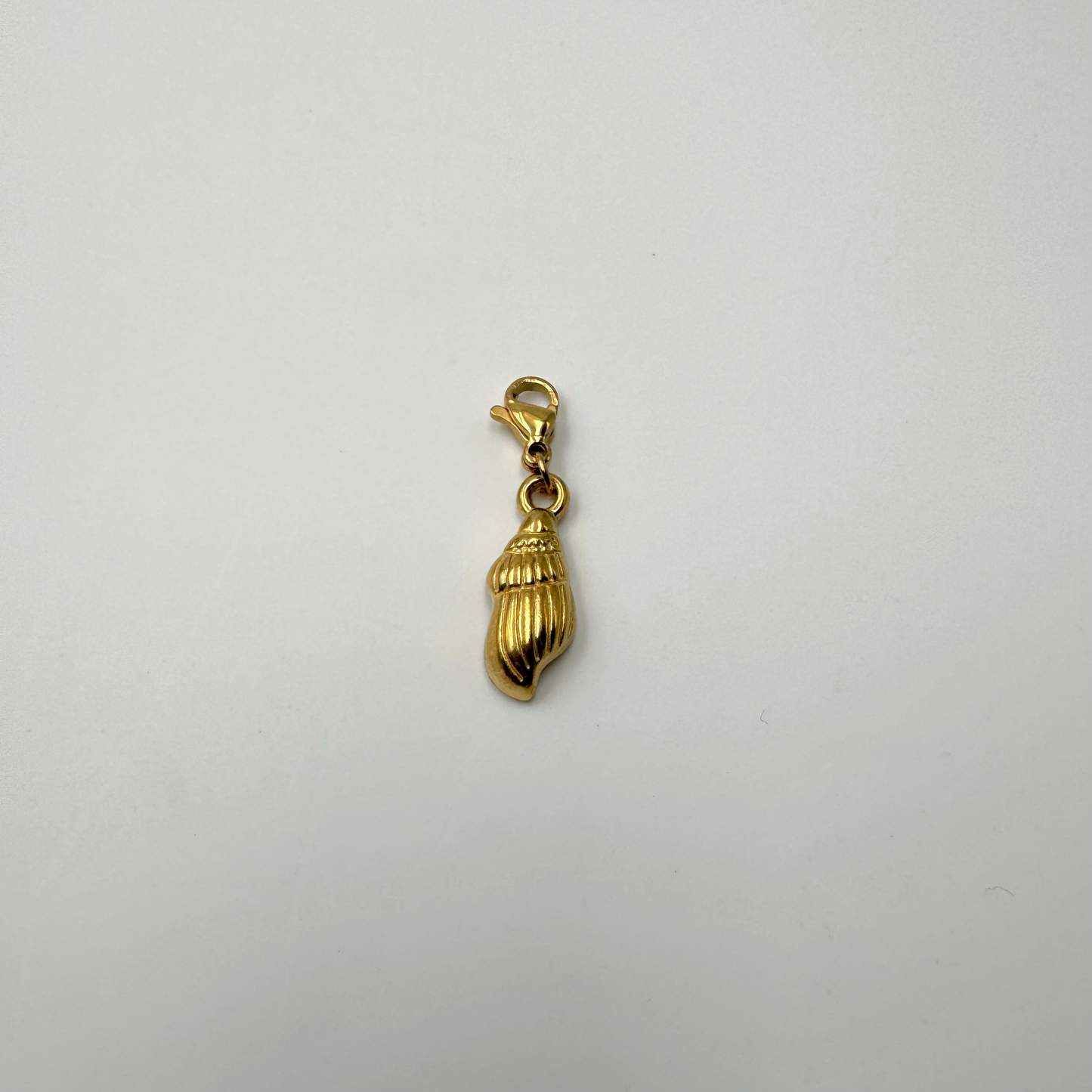 Charms en acier inoxydable et fermoir