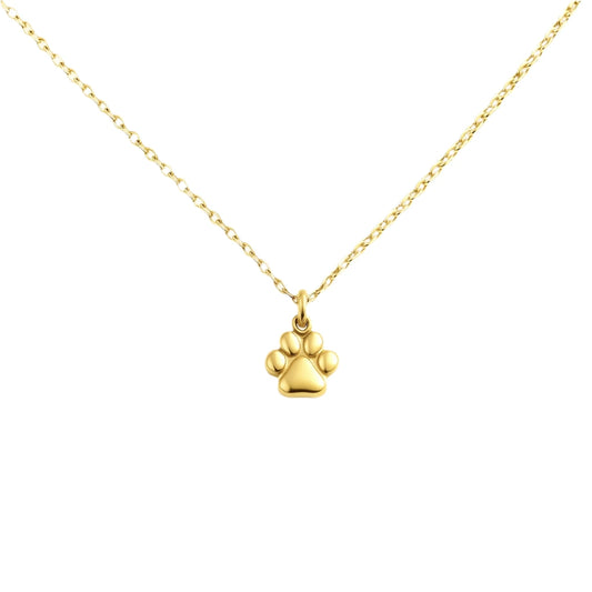 Collier patte de chien acier inoxydable