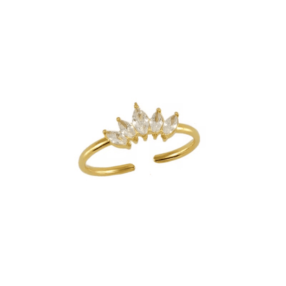 Coffret cadeau bague + boîte fleur surprise
