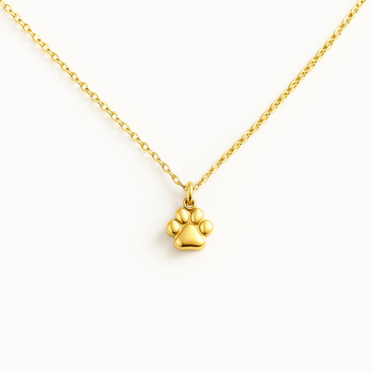 Collier patte chien acier inoxydable 